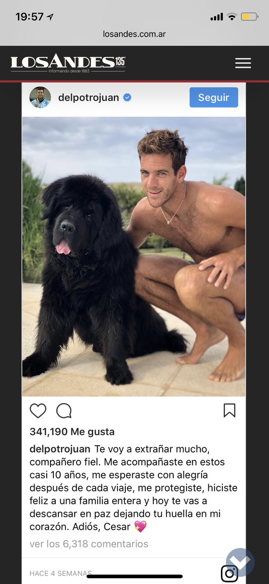 Delpo firma la camara con el nombre “cesar” ¿Porque? 🐶❤️🐶