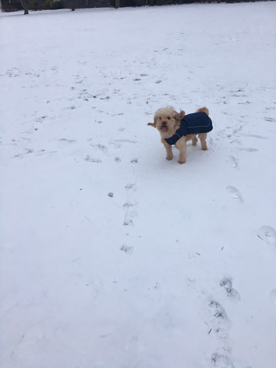 AmystarHarrison's tweet image. So cute