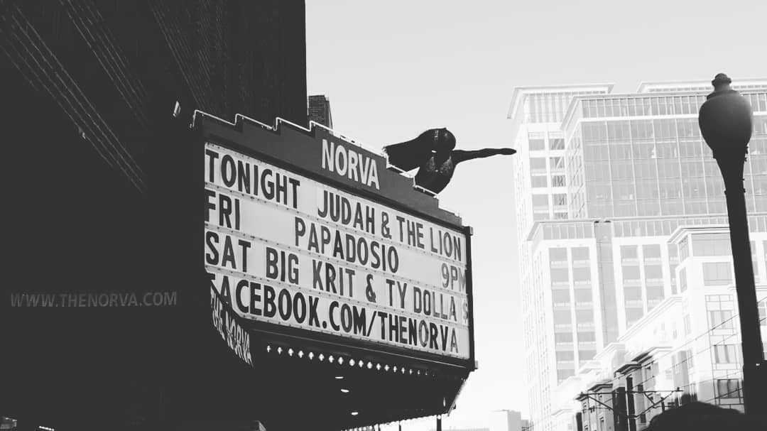 HWallsmithTV's tweet image. .@judahandthelion did not dissapoint! #GoingtoMars #Takeitallback #SuitandJacket