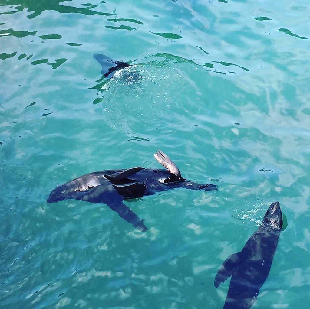 Доброе утро☕️🍩✈️☀️🌊🌴🏖
#туристыsunway #китай #хайнань