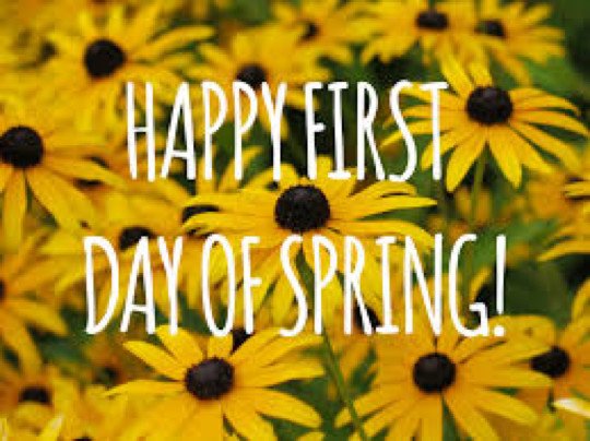 The_CRC's tweet image. MONEY SAVING MONDAY!

It's the first day of spring tomorrow! Nearly time to turn that heating right down. Aren’t the warmer months so much better for saving money on your bills!

#CRC #spring #usingless #costreduction #thecostreductioncompany