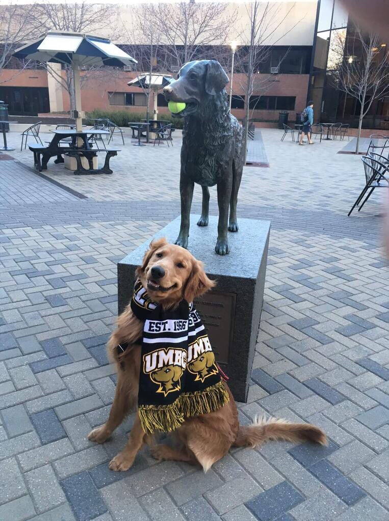 This is Chief. He’s hype as h*ck for the game. Claims he’s been a fan forever. 13/10 really hopes both teams have fun