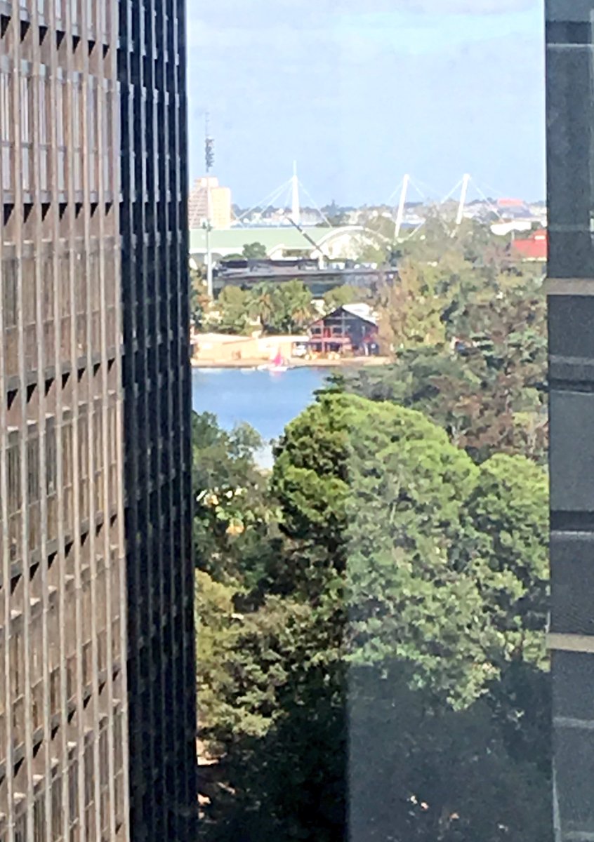 MVEG001's tweet photo. And we’re in!! So awesome!! For context, our last office didn’t get a lot of natural light nor distance perspective due to building design and surrounds. This new office is wonderful!! ☀️ Smiles all round!! #ATSEmove https://t.co/i5ciaKN8oA