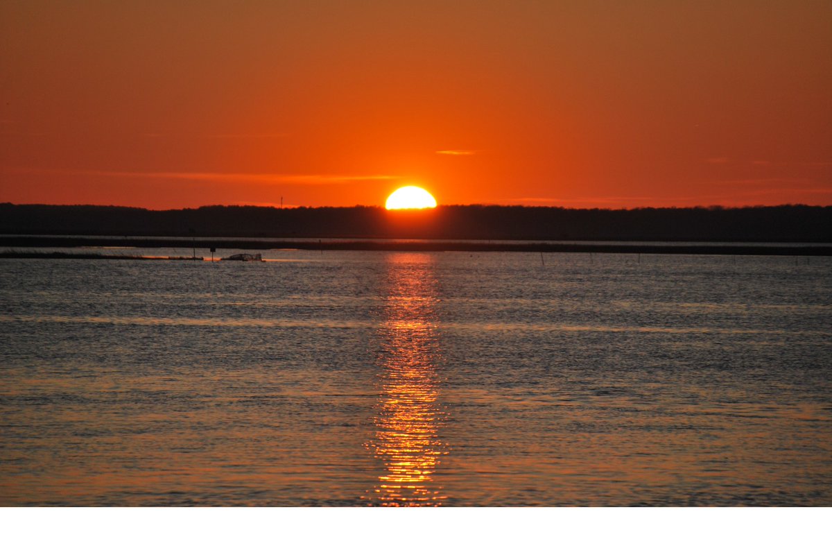 Check out our latest edition of Island Time and find out what's happening on Chincoteague island! chincoteague.com/blog/?p=816