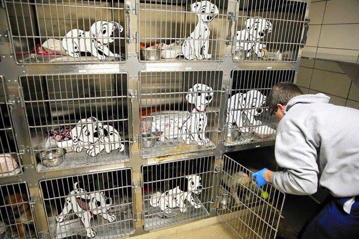 Art is about reality. See more at: facebook.com/Artisawayofsur…