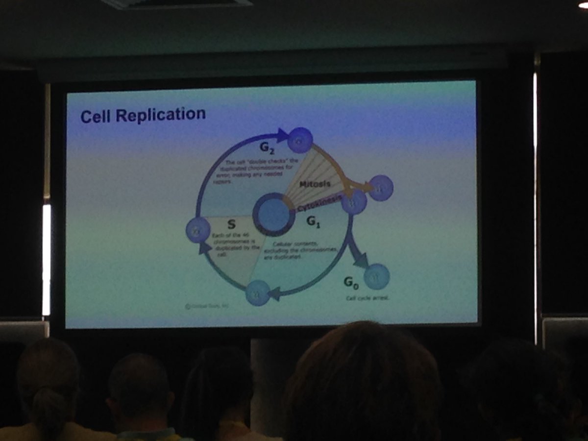 #Beeinspired wow a room full of HSC bio markers questioning sharing discussing