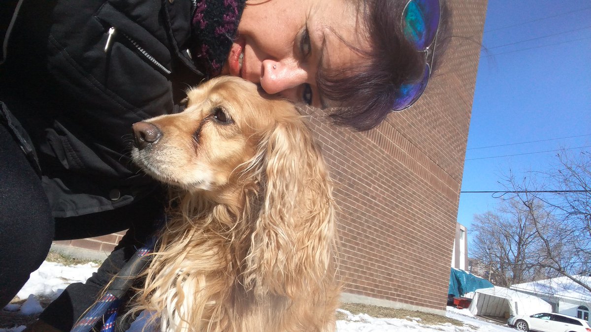 sonath13's tweet image. #Savezvous d'où vient la formulation "malade comme un chien"? #simplequestion