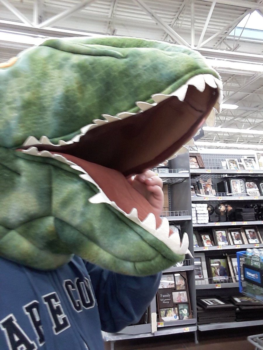 raphaelagent16's tweet image. 