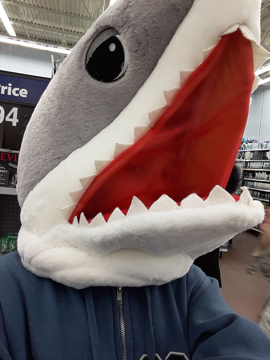 raphaelagent16's tweet image. 