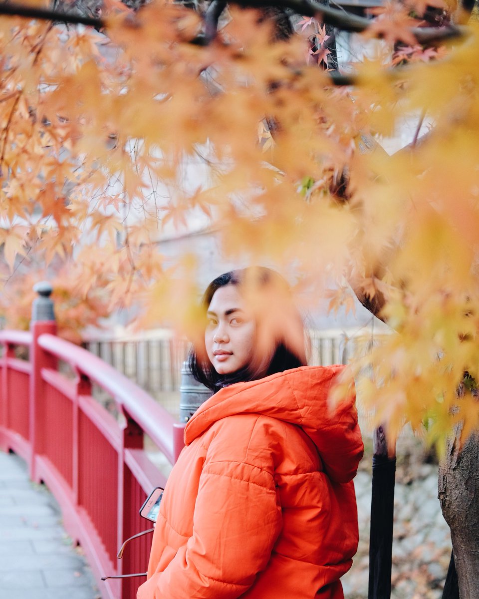 kadekarini's tweet photo. When #AutumninJapan, everywhere will look instagrammable π #jntoid #Ayokejepang2017 #autumninjapan #visitjapan https://t.co/NS62UOQiLL
