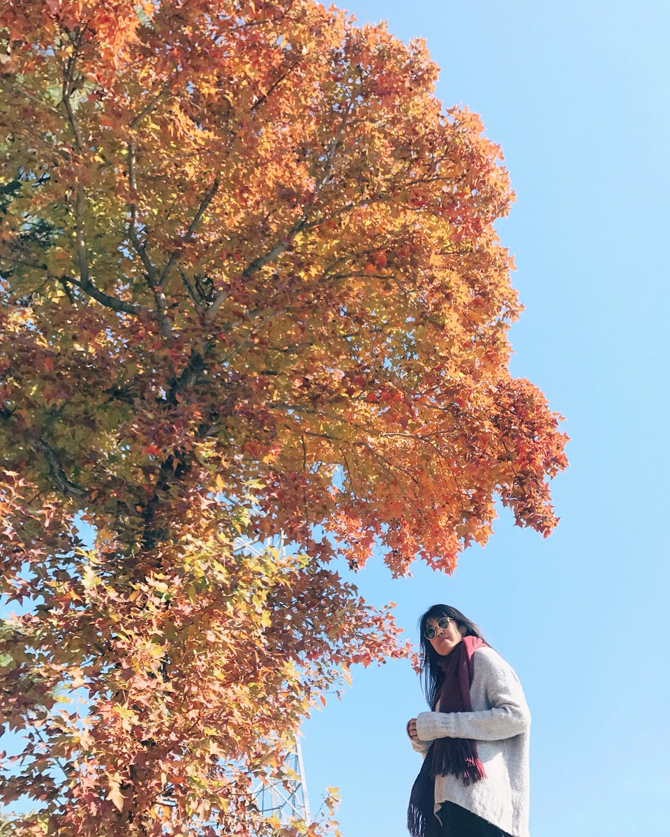 kadekarini's tweet photo. When #AutumninJapan, everywhere will look instagrammable π #jntoid #Ayokejepang2017 #autumninjapan #visitjapan https://t.co/NS62UOQiLL