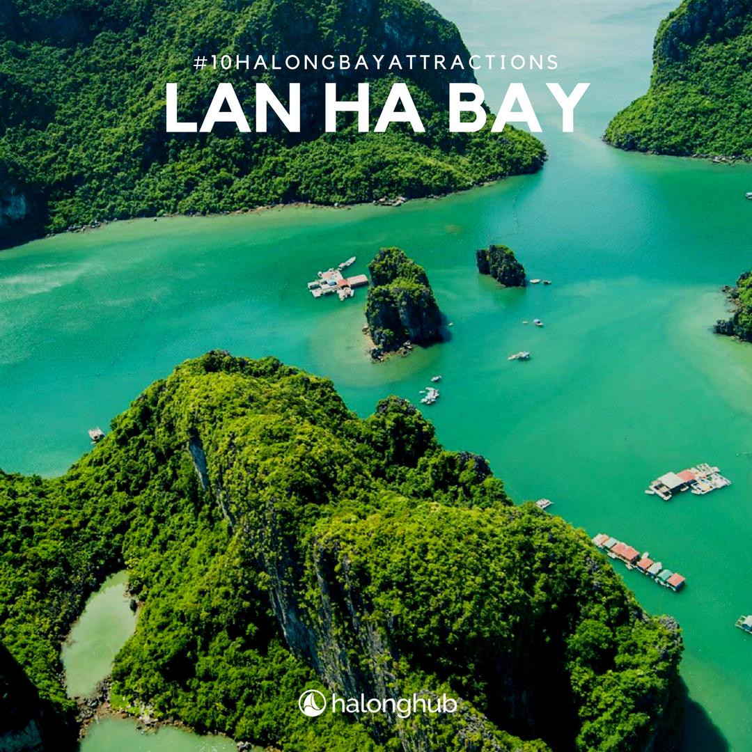 HalongHub's tweet photo. Famous throughout the world for its staggering scenery and rich culture, visitors can experience this by visiting Top 10 of the Most Magnificent Halong Bay Attractions!!! https://t.co/waut3X00S3