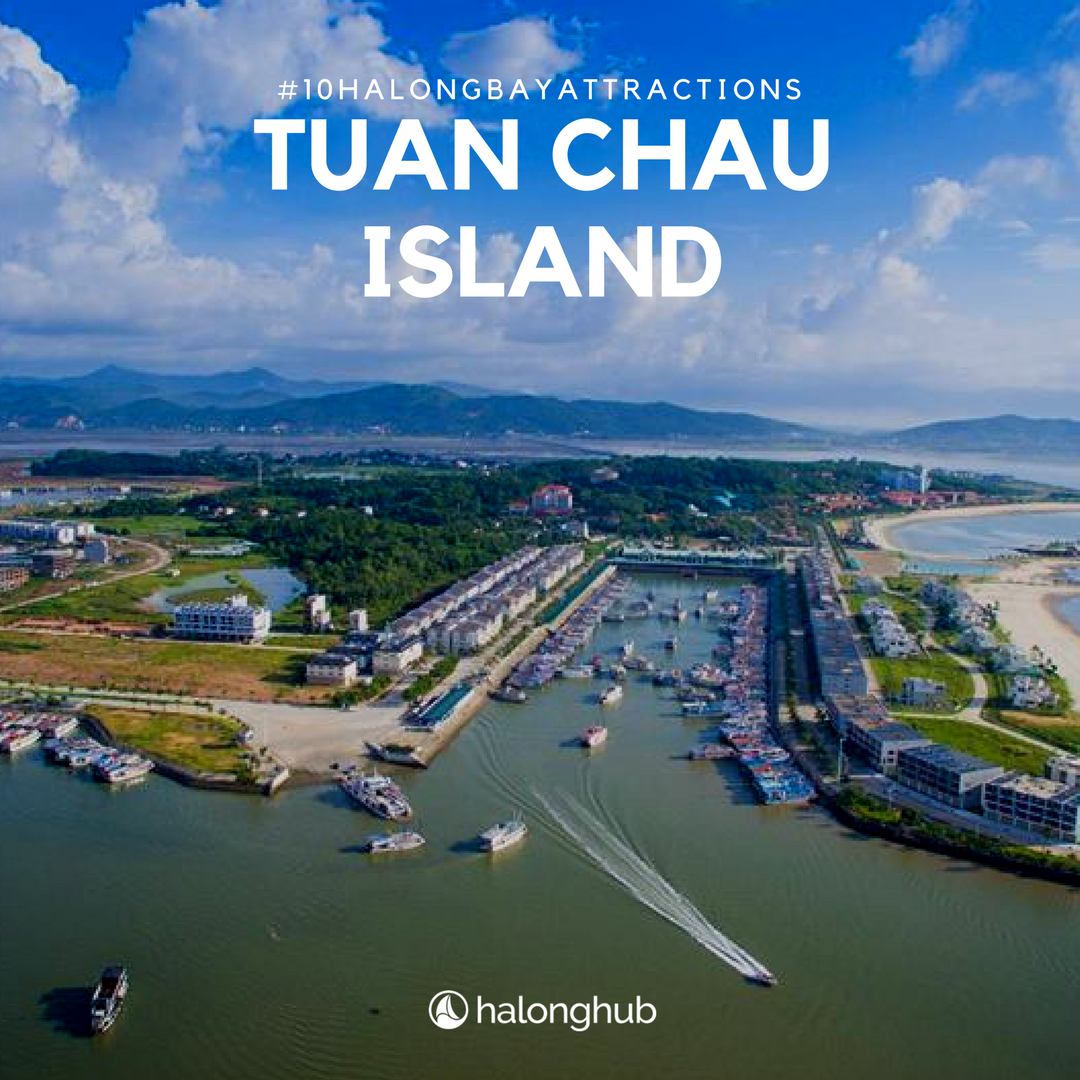 HalongHub's tweet photo. Famous throughout the world for its staggering scenery and rich culture, visitors can experience this by visiting Top 10 of the Most Magnificent Halong Bay Attractions!!! https://t.co/AcCnUF7eP3