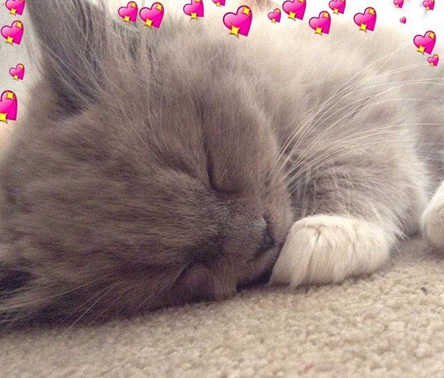 [ TEXT to: <a href="/MiauminHan/">Jᴜᴍɪɴ Hᴀɴ</a> ]