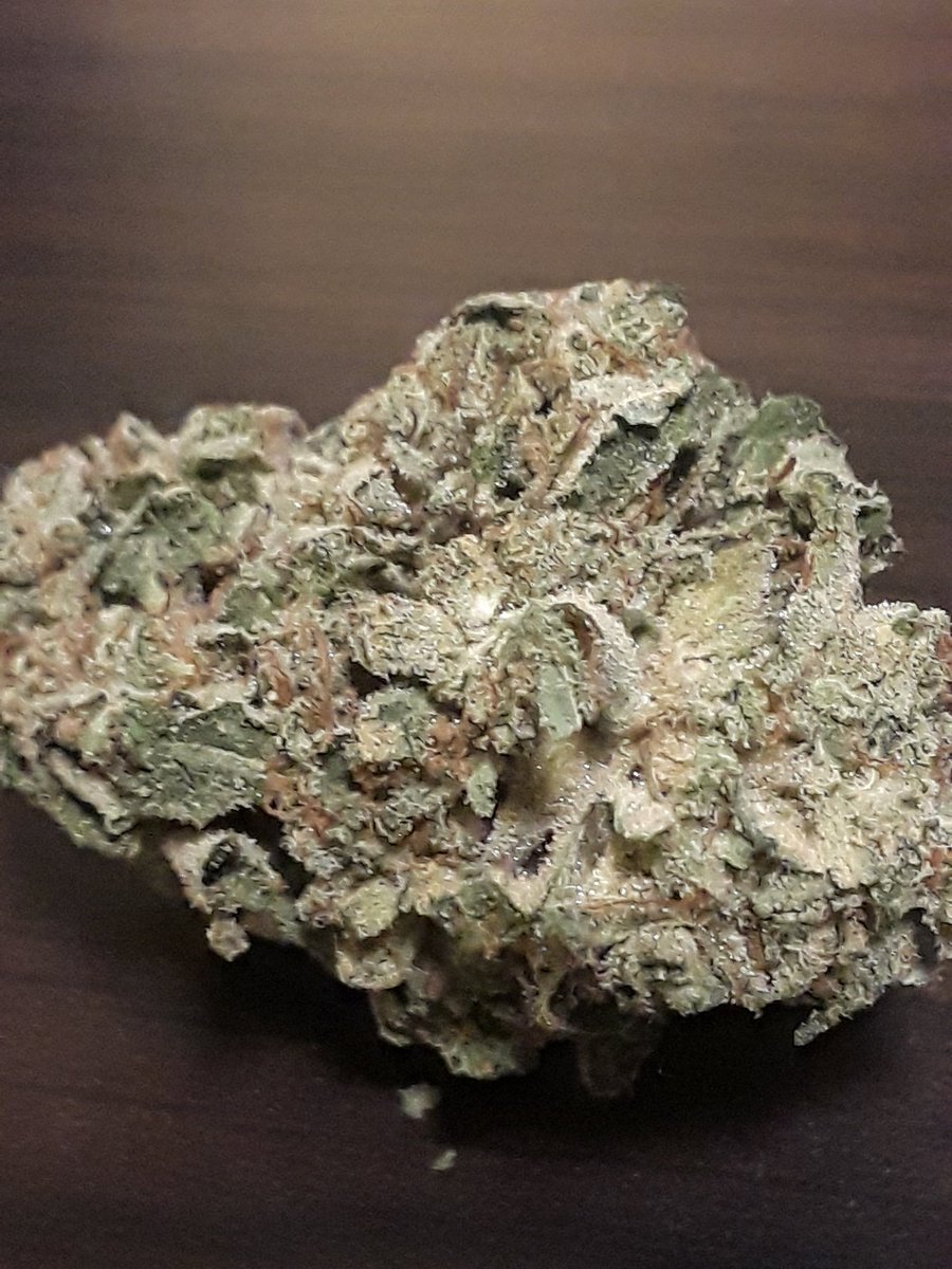 The_Real_WB's tweet photo. 🚨🚨⛽💨FLASH/NO FLASH OF SCOOBY SNACKS!!🚨🚨🔥⛽(Plat GSC &amp; Face Off OG) 🔥🔥🔥⛽💨 @CANNiLIVE @NorCalStoner420 @AlexCassista @ArmyOfPotheads @james_bong13 @LARRYIRBY6 @_jena4n @5tonergirl420 @Darinj0rdan @EmeraldZoo @Michael57645022 @cannaworldsite @420linksuk @Cogitatorium 🚨 https://t.co/r0THJSwQLC