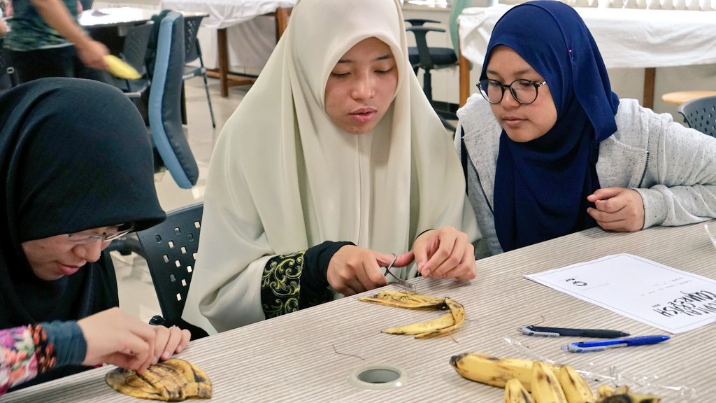 MAPMalaysia's tweet photo. Tahniah kepada semua pelajar yang mengambil bahagian dalam sesi 1 Medical Crash Course (MCC) semalam! 👏🏻
#medicalcrashcourse https://t.co/Y7Y1qMxwGb