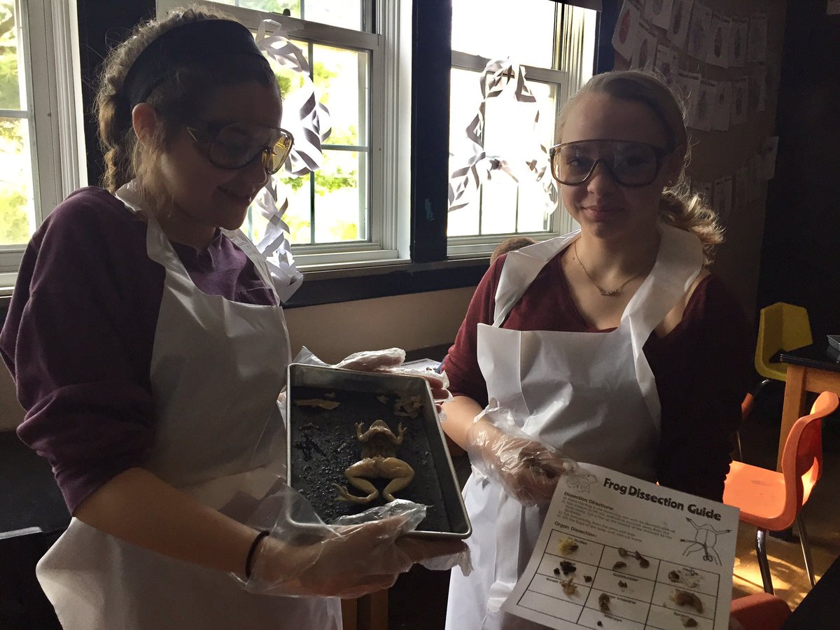 MrsDavisonFHS's tweet photo. We had a blast last week during our Frog Dissection! 👩🏼‍🔬👨🏽‍🔬🐸 It was amazing to hear students applying their Human Body System knowledge to frog anatomy! #fmsteach #fpslearn https://t.co/IJk3Dl8mkQ