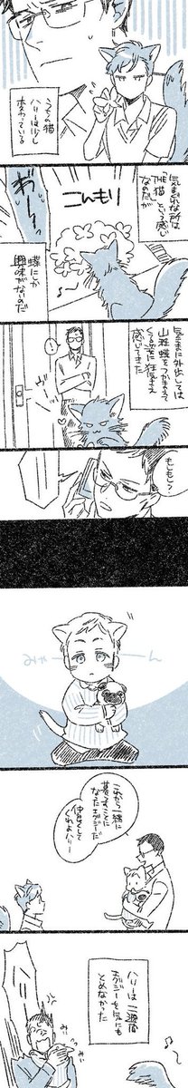ネコハリエグ① 
