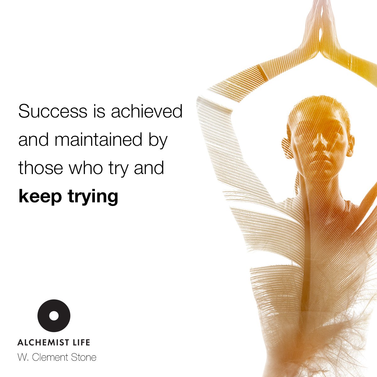 AlchemistLifeUK tweet picture