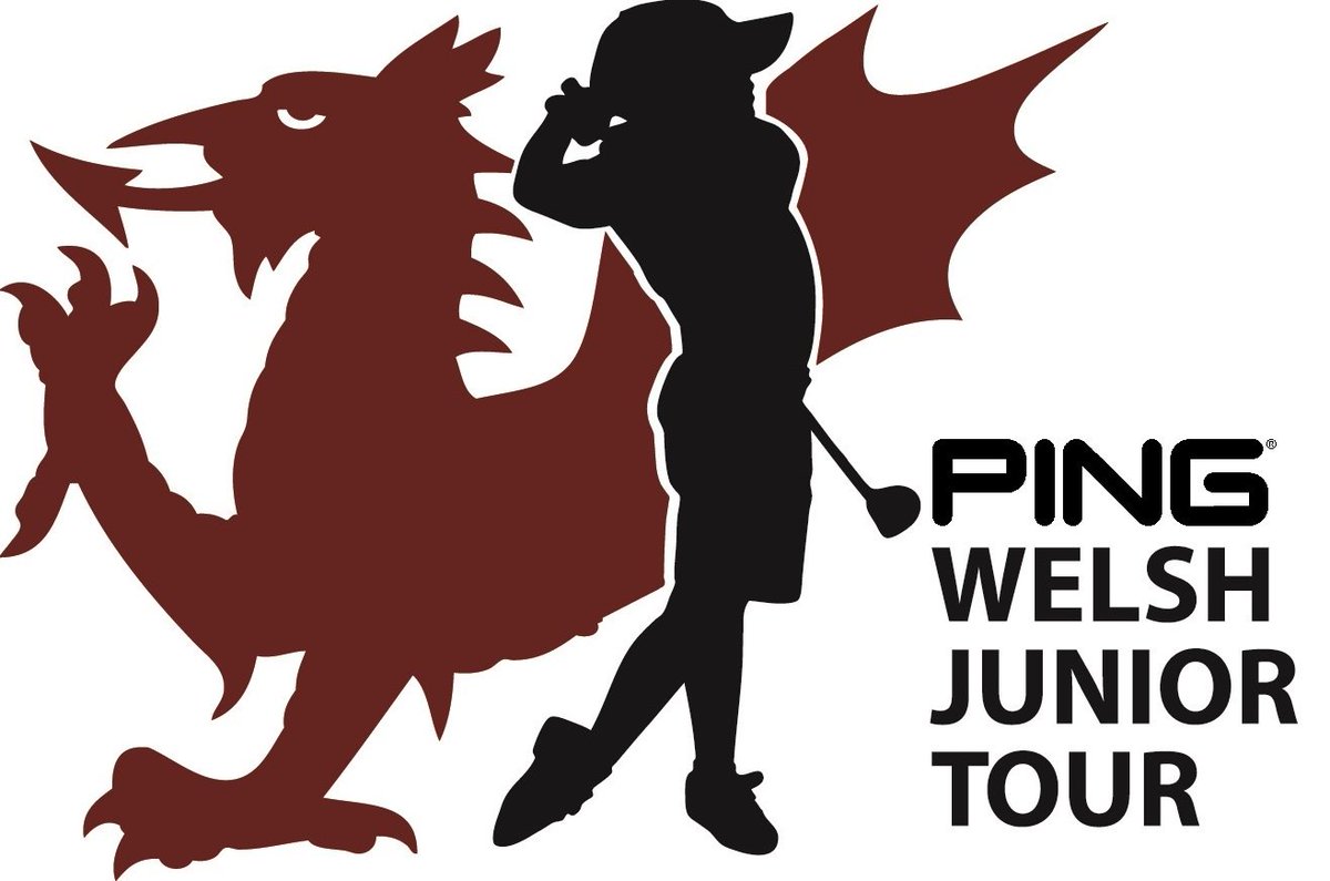 Image result for ping welsh junior tour logo