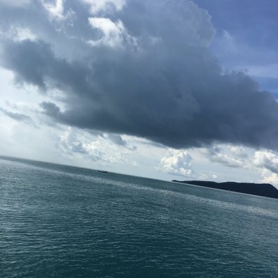 PITOU04622008's tweet photo. #NewProfilePic https://t.co/wkcczHoRaK