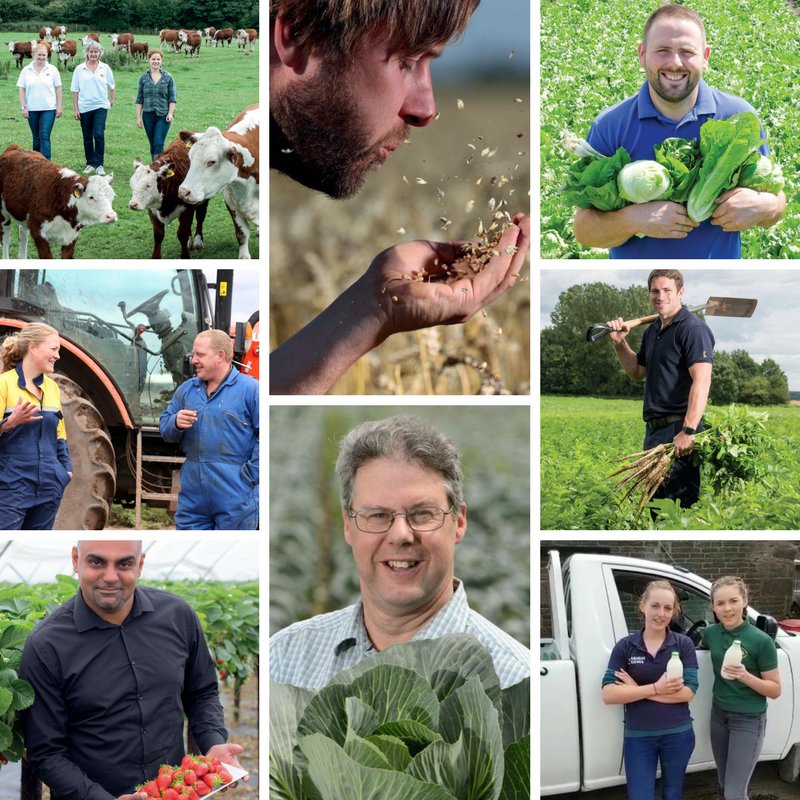 RT if you appreciate every one of the 476,000 #PeopleInFarming who will be putting the food on our plates today.