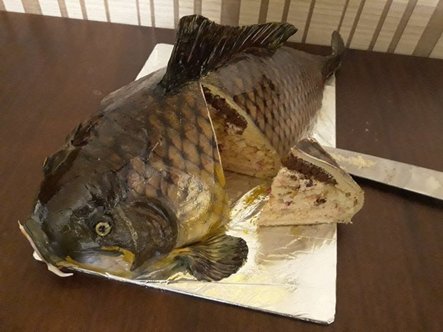 junespring's tweet photo. A Carp tasting cake. This is fishilicious!
#CarpCake
#SweetTooth
#CakeDesign https://t.co/5qmsddEw66