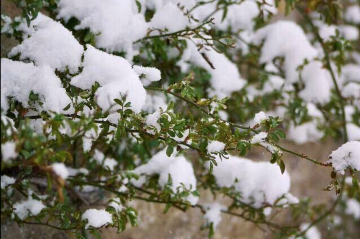 lighthousefrome's tweet image. #Winter to #Spring - and back again! Beautiful shots from The Lighthouse grounds over the past few weeks, as the weather brings some amazing scenes and construction work continues on site!
