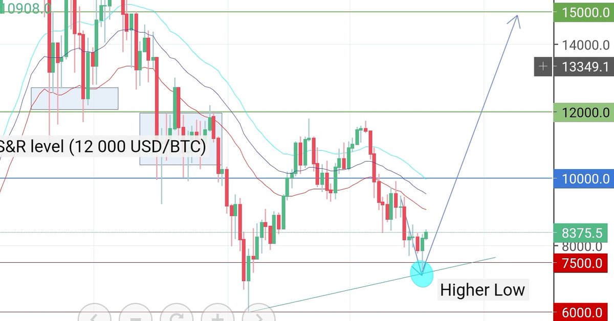 Crypto Jungle tweet media