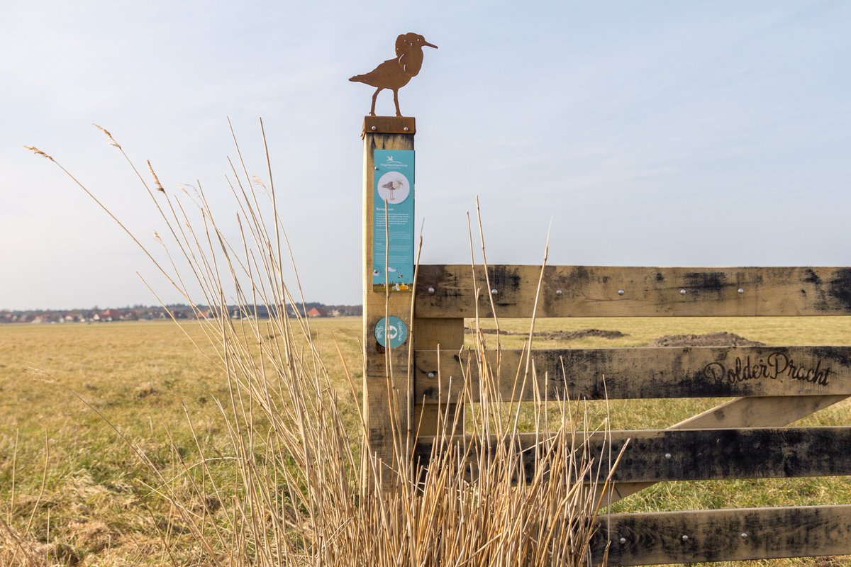 De Terschellinger Polderroute is officieel geopend! Verken deze lente al fietsend de vogelpracht in dit unieke gebied. polderprachtterschelling.nl/feestelijke-op…