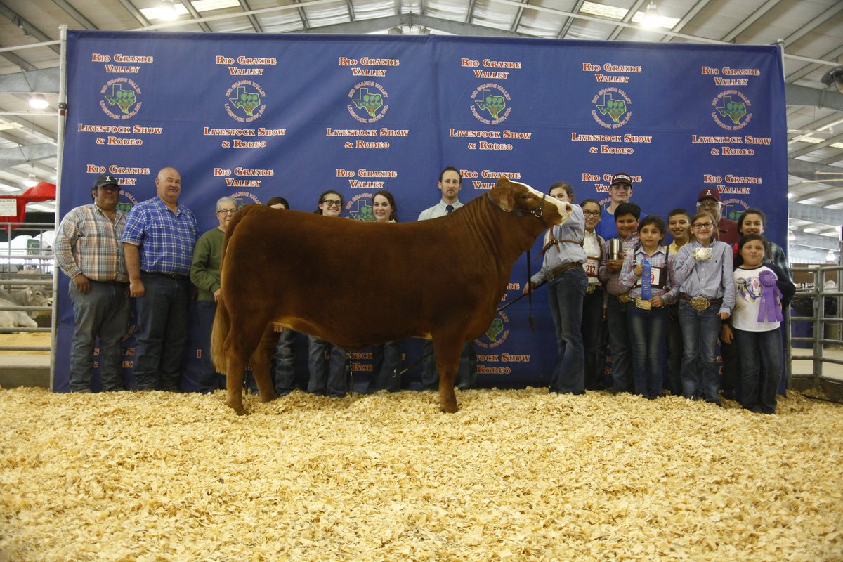 tcheck30's tweet photo. 2018 Rio Grande Valley Stock Show Grand Champion #Simbrah Heifer of the Jr and Open shows. Celebrating with our Simbrah family. It's not always about winning the memories of time spent with family and friends that are important #AJSR #TJSSA #AJSA @ImInIt2WinIt1 #showLMC https://t.co/wVUdoypt0k