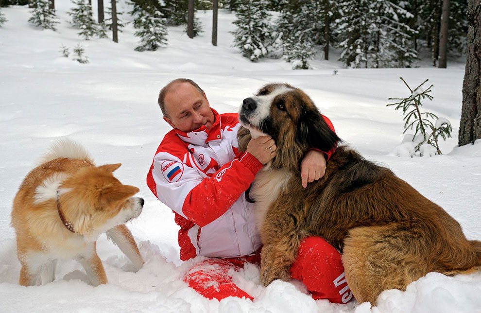 #ПУТИННАШПРЕЗИДЕНТ
Добрейший Вежливый Несравненный Славный Наш Президент России Владимир Владимирович Путин!
❤ ❤ ❤ ❤ ❤ Вы самый лучший в Мире!🌹 🌹 🌹 🎂 🎁

ПОЗДРАВЛЯЕМ ВАС С ПОБЕДОЙ НА ПРЕЗИДЕНСКИХ ВЫБОРАХ В РОССИЙСКОЙ ФЕДЕРАЦИИ!