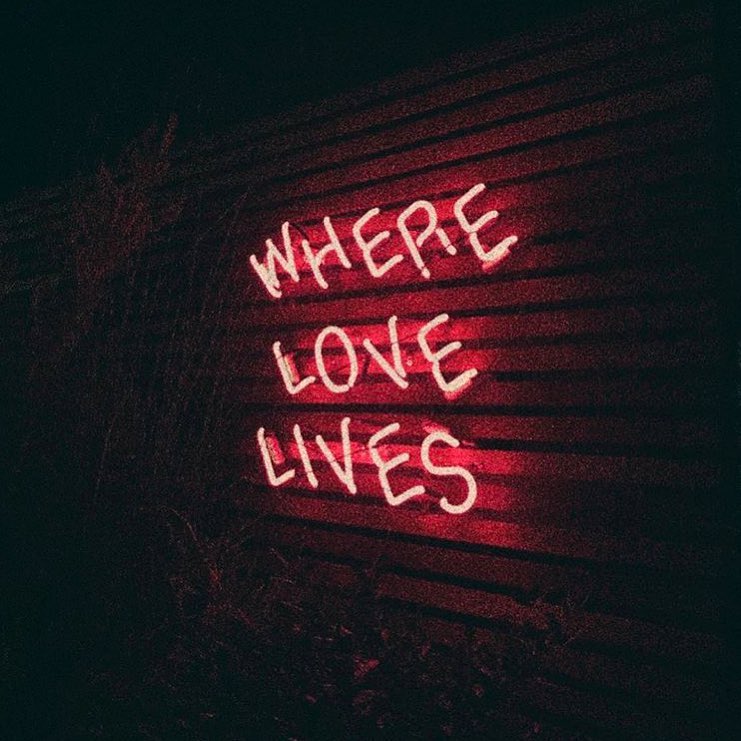 _alexis_s's tweet photo. 🥀 https://t.co/0LZOo6A8yJ