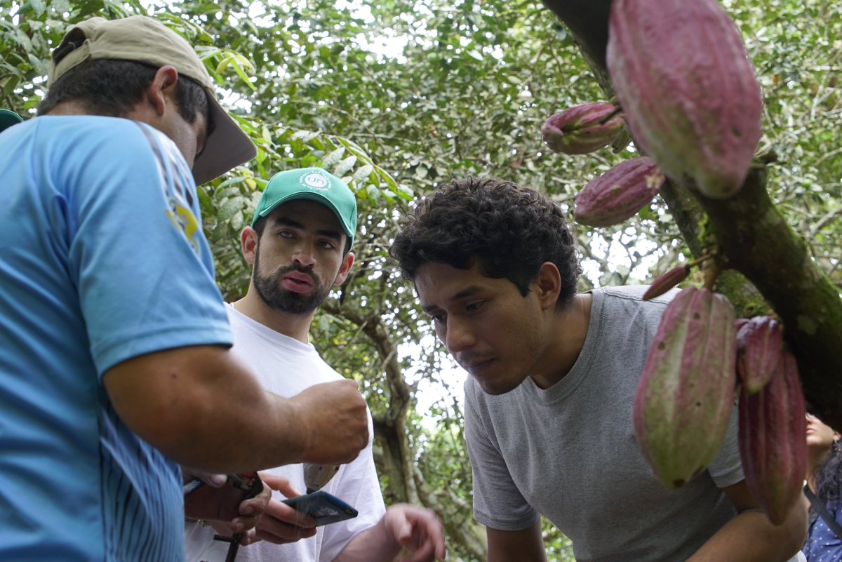 Televisión UNAL tweet media