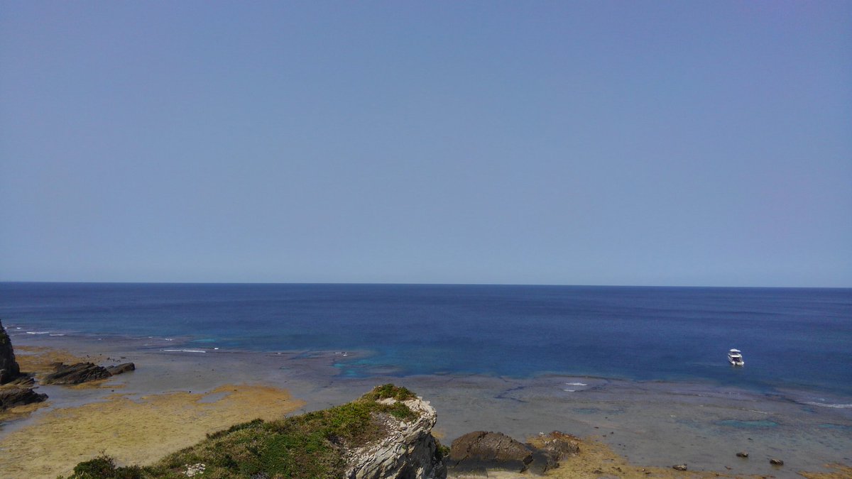 oscamintol's tweet photo. 夏模様🌴
#クルージング　#ケラマ　#ホエールウォッチング https://t.co/2eMApBnhvu