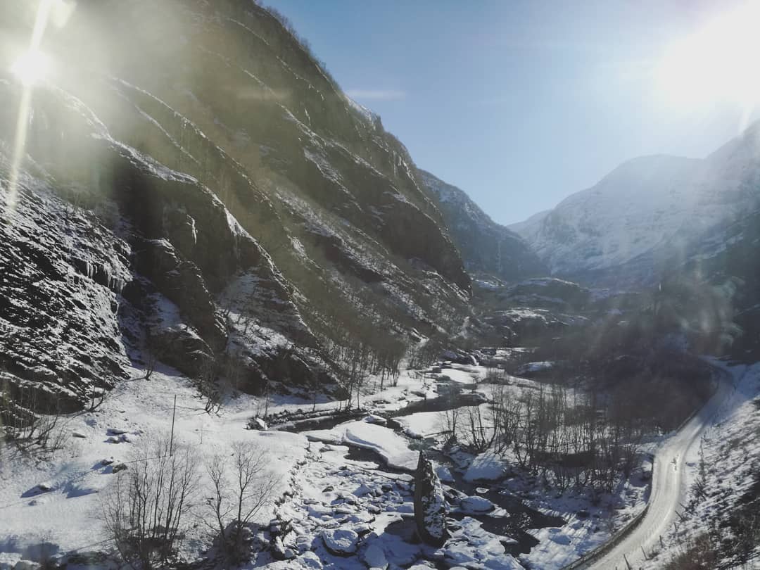 HeleenLameijerMD tweet media