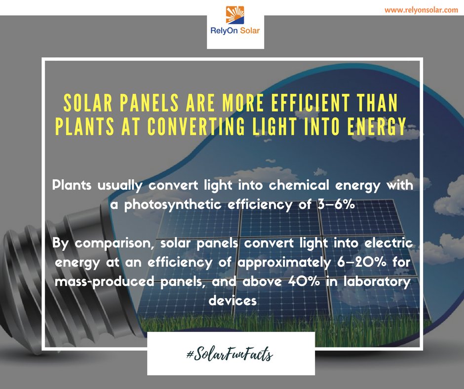 RelyonSolar1's tweet photo. #MondayUpdates 

Did you know Solar Panels are actually more efficient than Plants in converting sun rays into energy?

#AmazingSolarFacts #solarpower #SolarEnergy #SolarPowerSystems #RelyOnSolar #Solar #GoSolar #MondayMotivaton #mondaythought #GreenEnergy #solarfunfacts https://t.co/PTsizOH9E2