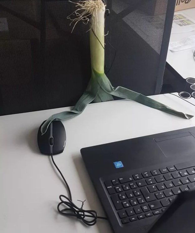 Mistyfikiewicz's tweet photo. Por favor? W moim Instytucie Rumpologii nie uznaję takich pracowników. #arystokracja_rozumu https://t.co/TLlTioe2BZ