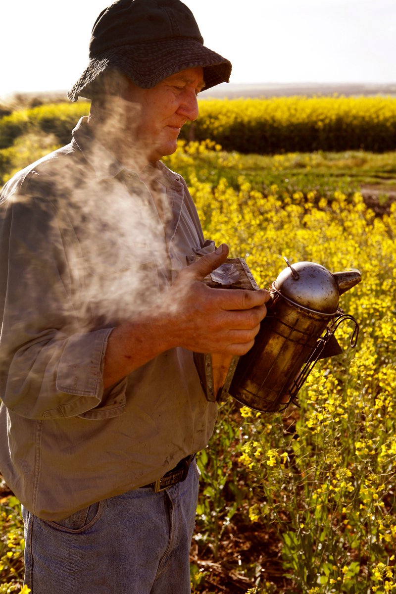 Baillie Lodges (@baillielodges) on Twitter photo LOCAL • BUZZ
<a href="/kangaroo_island/">Kangaroo Island</a>'s famed apiarist Peter Davis the operator of Island Beehive shares his passion for the gentle creatures, the liquid gold they produce and the importance of protecting them for generations to come... read the article here - goo.gl/bGpzNS LOCAL • BUZZ
<a href="/kangaroo_island/">Kangaroo Island</a>'s famed apiarist Peter Davis the operator of Island Beehive shares his passion for the gentle creatures, the liquid gold they produce and the importance of protecting them for generations to come... read the article here - goo.gl/bGpzNS