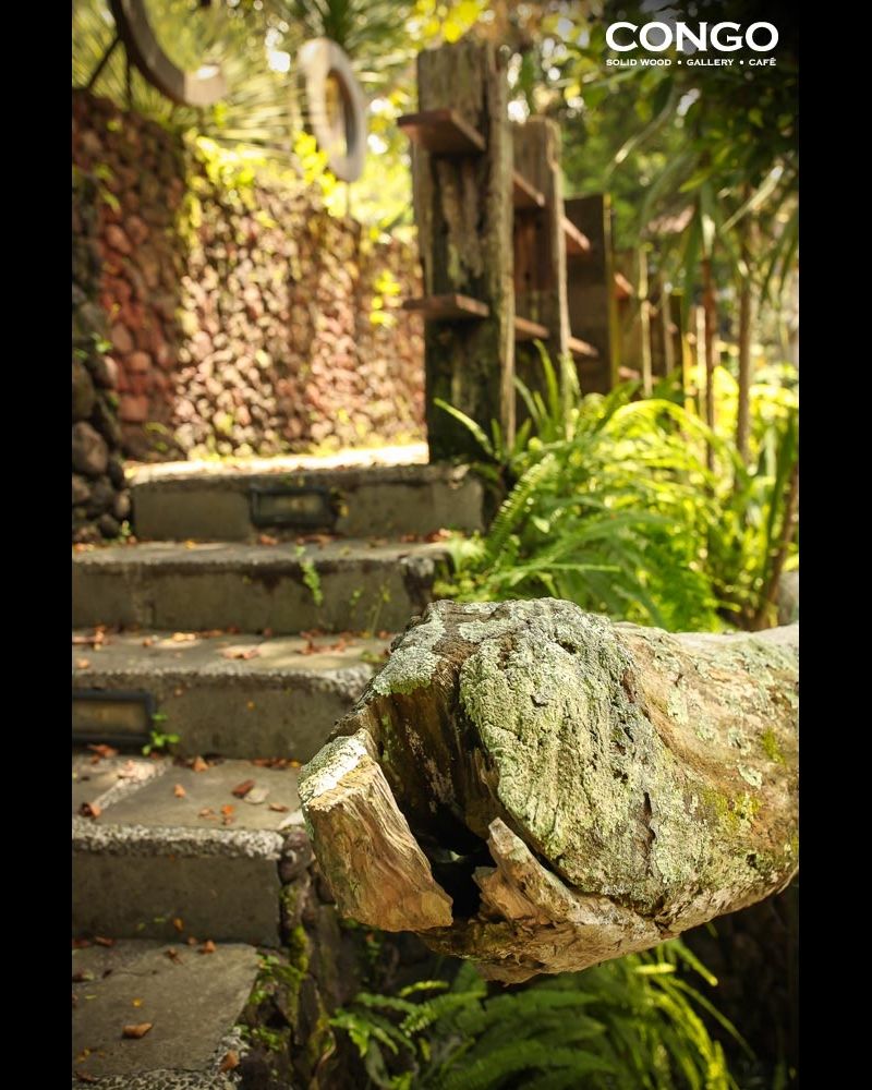 As always, let's fight the Monday blues with a bit of green... some fresh mountain air (plenty of that over here at Congo Café) would certainly help too...