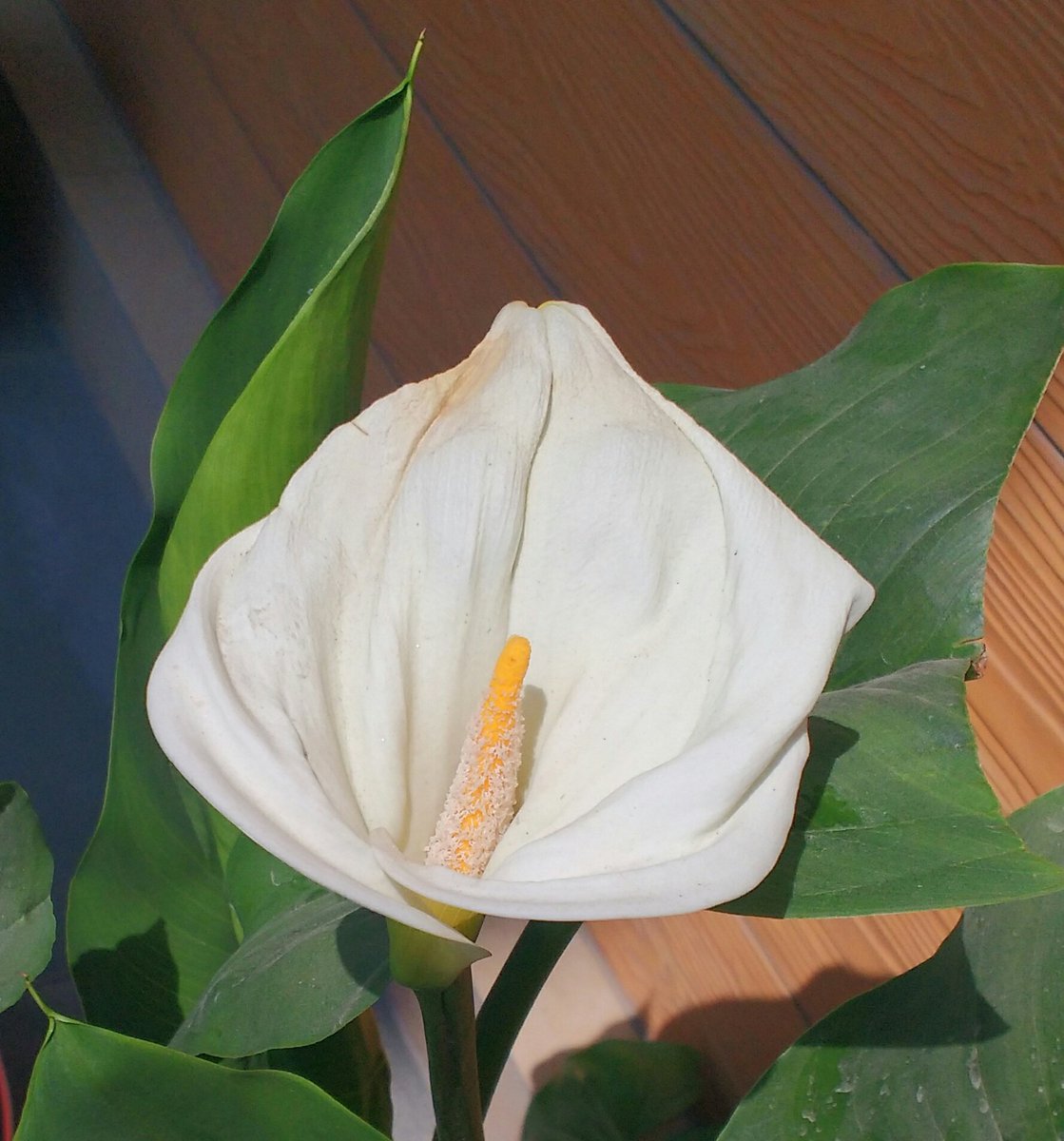 TBS PSHE tweet media