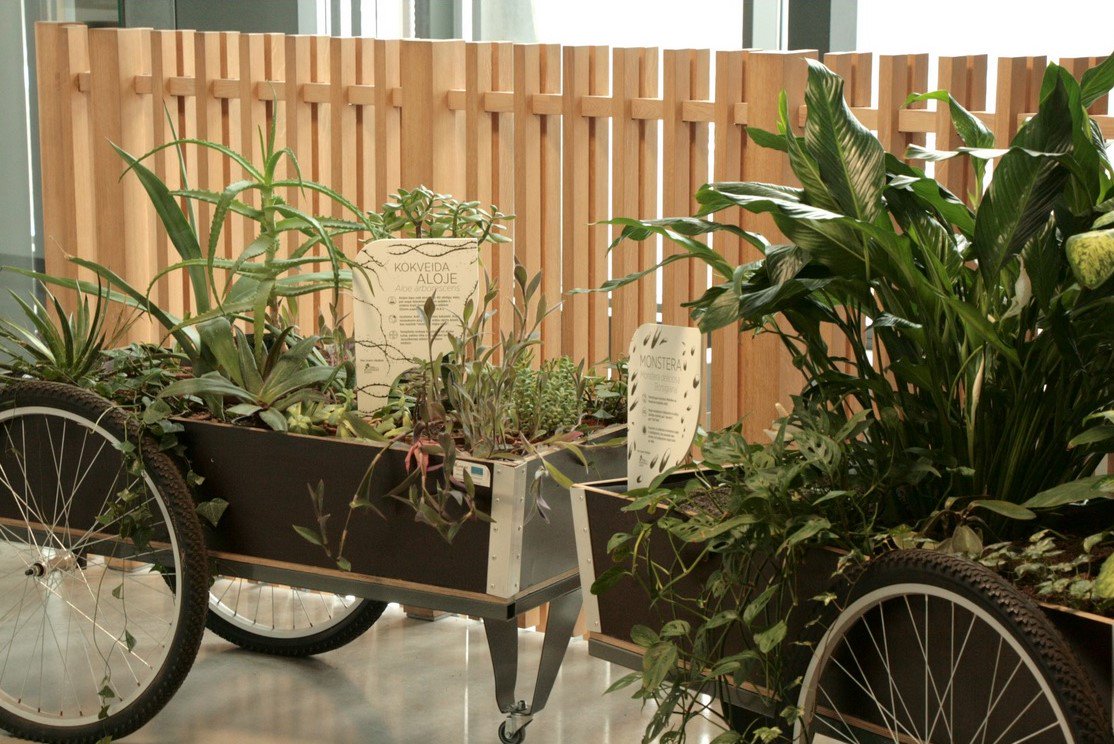 Augu draugi <a href="/Botdarzs/">LU Botāniskais dārzs</a> katram Dabas mājas apmeklētājam dod iespēju iepazīt ēkā izvietotos telpaugus, kā arī atgādinās par to, cik nozīmīgs veselībai un domāšanai  ir dabā pavadīts laiks. botanika.lu.lv/zinas/t/53288/