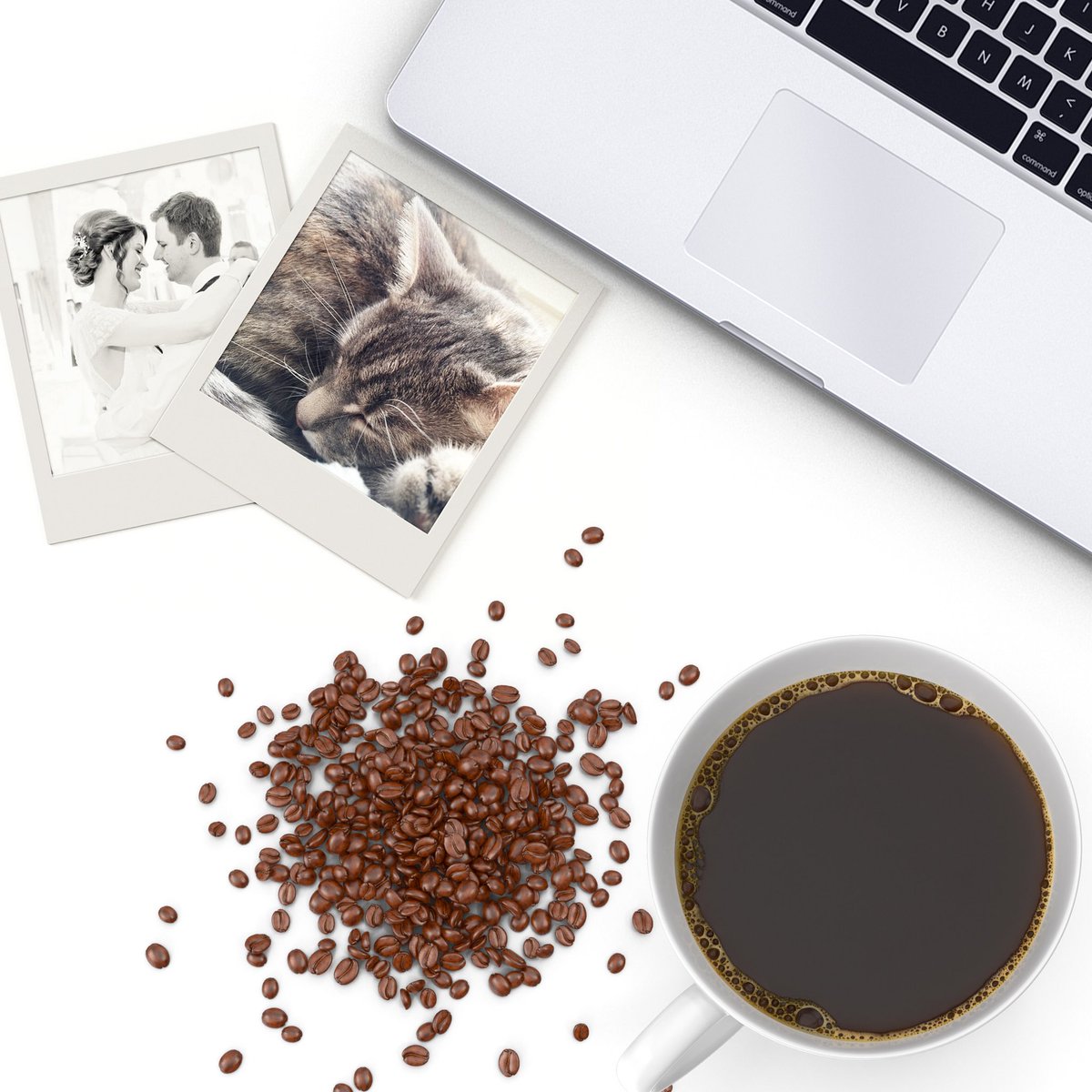 #marchmeetthemaker Day 19 • Can’t Live Without

I can’t live without all the things seen in this picture; my #beautiful wife, Millie, the #internet and my #computer and finally #COFFEE.

#graphicdesigner #makersgonnamake #entrepreneur #coffee #coffeetime #coffeeholic #coffeelove