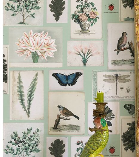 BREAKING NEWS: Tricia Guild and New York designer John Derian have collaborated on a breathtaking collection of fabrics, wallpapers and accessories bit.ly/2GGJjol <a href="/DesignersGuild/">Designers Guild</a> <a href="/WALLPAPERDIRECT/">Wallpaperdirect</a>