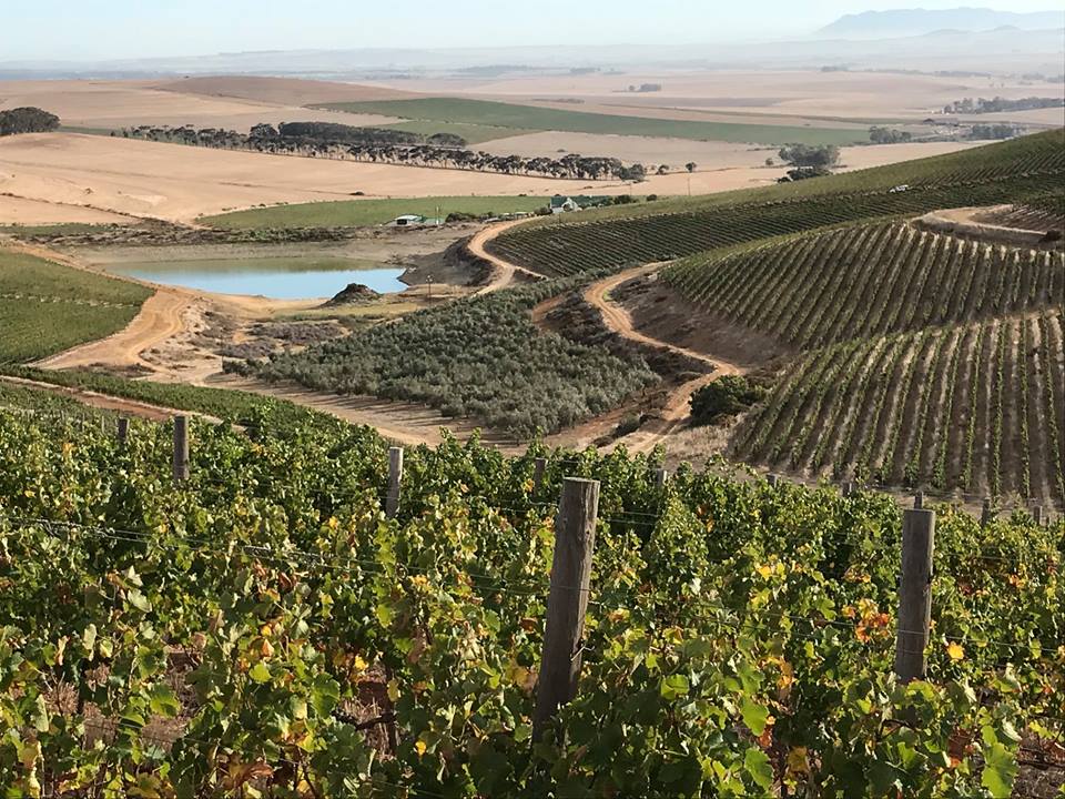 TrailFun tweet media