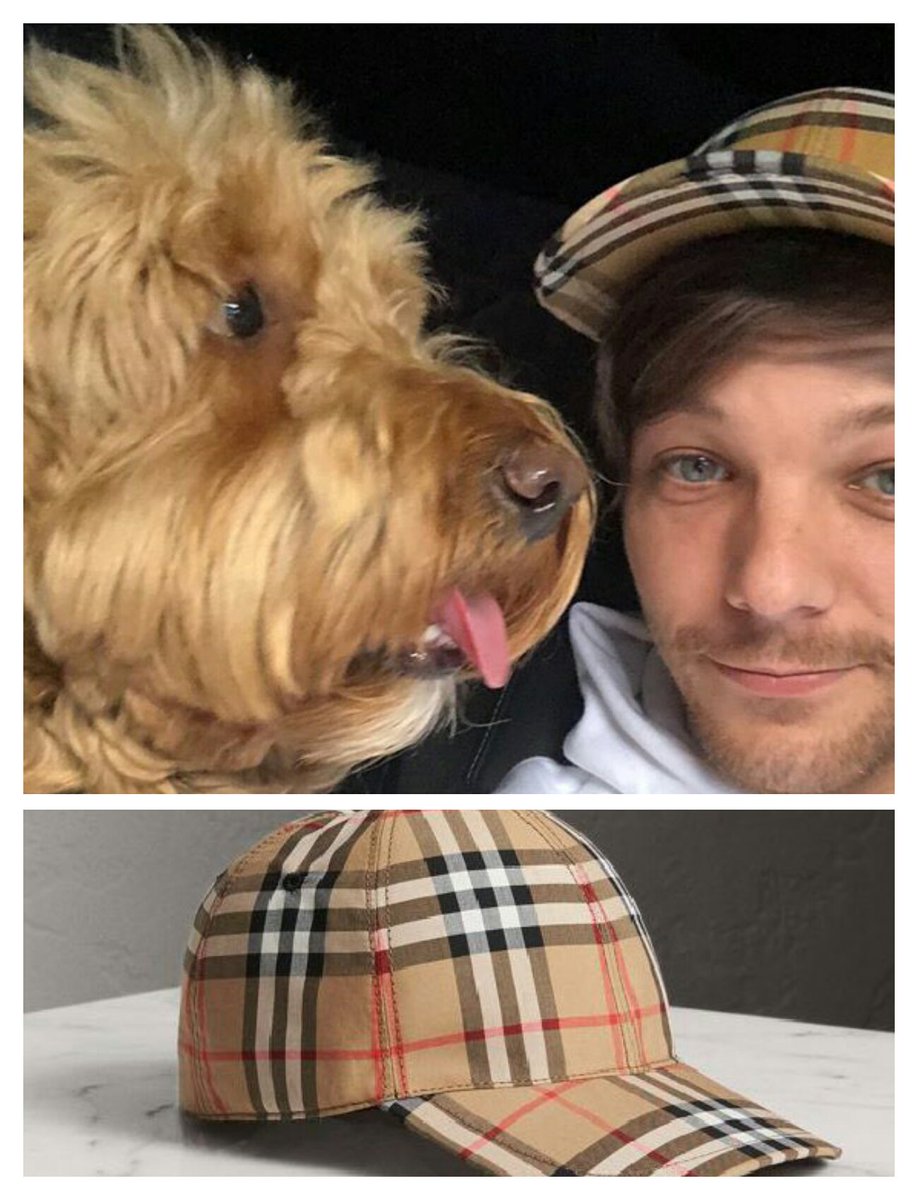 TheLouiesCrew's tweet photo. Petition for Louis to wear the cap,  the shirt and the jacket together so we can all have a nice day dragging him 😇 https://t.co/mDgomi4Gy2