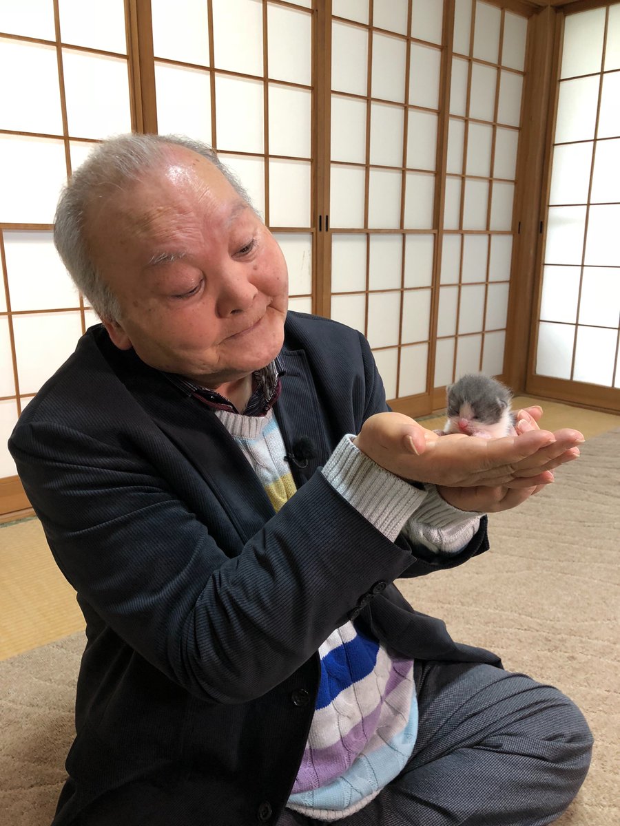 加藤一二三さんが子猫さんと戯れて 寝るとき思い出しそう と満面の笑み どっちもかわいい Togetter