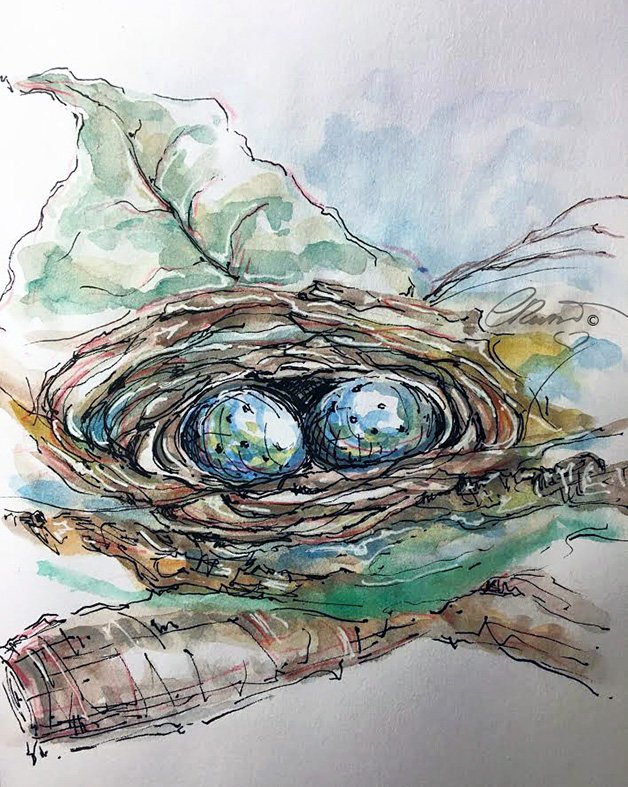 Happy to share the latest addition to my #etsy shop: Watercolor Nest, Limited Edition Art Print, Eggs, Bird Nest Print, Watercolor Art, Illustration, Blue Eggs, Nest Sketch, Easter eggs, Nature etsy.me/2FKCoNv #art #fineartprint #blue #green #watercolornest