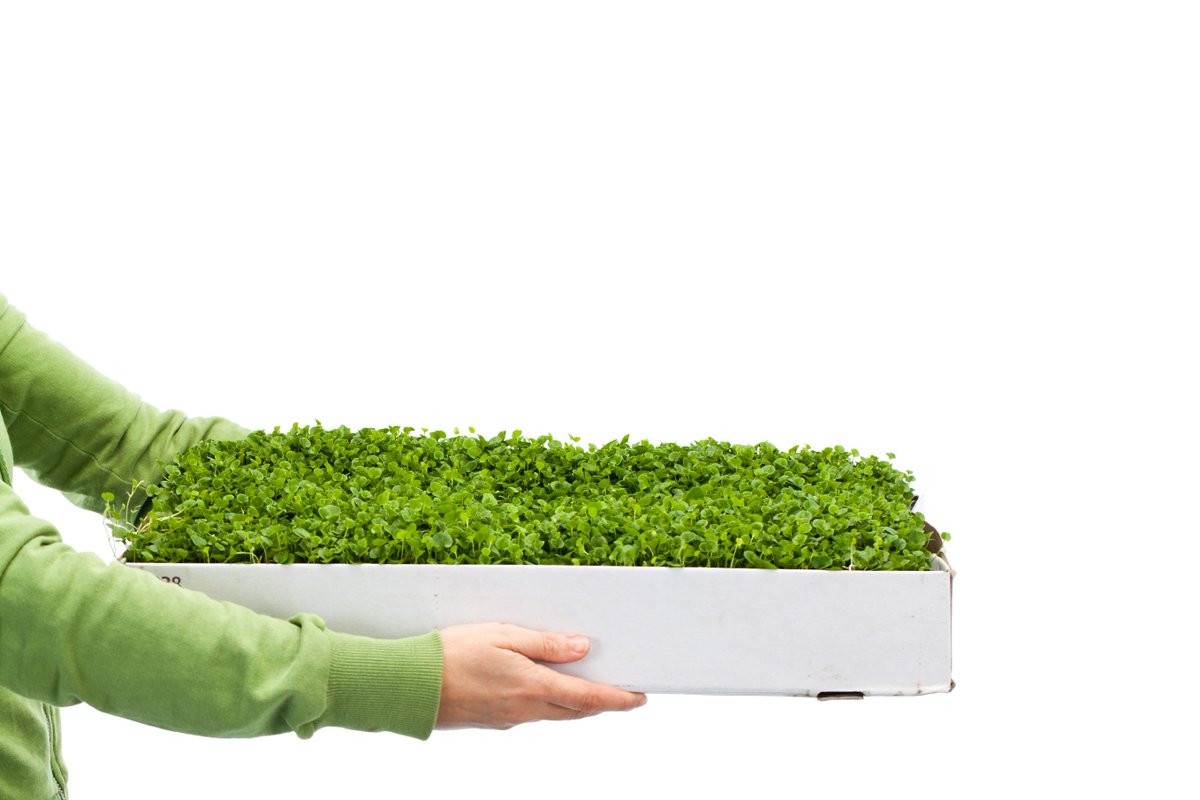 ThermoKingEur's tweet photo. Good deed for the day: convert you expensive and polluting R-404A to Thermo King’s standard and environmental friendly #refrigerant #R452a #gooddeed https://t.co/1bq6k5o6GT https://t.co/1IAhRpFn4C