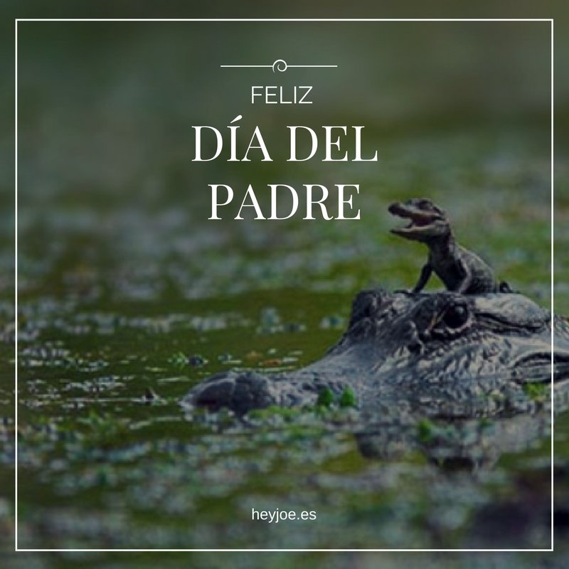 heyjoepomade's tweet photo. Como hijos y padres orgullosos os deseamos FELIZ DÍA DEL PADRE ❞
#heyjoefamily #heyjoepomade #barberschool #borntohelpbarbers #diadelpadre #diadopai https://t.co/2c3I7VwMnZ